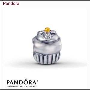 Retired Pandora cupcake charm